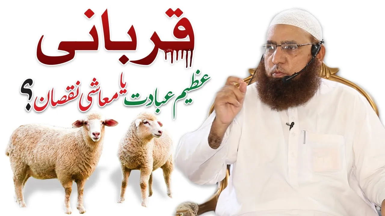Qurbani Azeem ibadat Ya Mu'ashi Nuqsaan? | JTR Media House